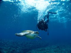 沖縄県 / ダイビング　Okinawa　~Domestic Tourism　国内旅行10泊11日の旅　その7~