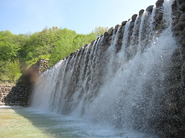 天気も良いのでふらりと白州へドライブです。<br />サントリー白州蒸留所、名水公園べるが、道の駅はくしゅうへ立ち寄りました。