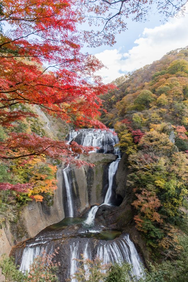 茨城県は阿武隈山地の南端部となる久慈山地・多賀山地の山々と八溝山地の山々が連なり、豊かな水をたたえた日本第2の湖　霞ケ浦および，北浦を中心とする水郷地帯、太平洋と山々そして大きな湖を有する茨城県。観光名所も多く、四季折々の顔を見せる日本三大瀑布の「袋田の滝」、本州一の歩行用吊り橋がある「竜神峡」、標高877ｍ、広い関東平野の中にそびえ立つ紫峰「筑波山」、世界の海と自然に触れ合える、巨大水族館「アクアワールド大洗水族館」、関東最大最古の神社でパワースポットとしてお馴染みの「鹿島神宮」、日本三名園のひとつで梅祭りで有名な「偕楽園」、国内第2位の湖面積を持つ湖で夏には観光帆引き船が運航される霞ヶ浦、開園面積約153.2haにも及ぶ園内に咲き誇る花々が年中景色を楽しめる「国営ひたち海浜公園」、江戸時代の安永年間から200年以上の歴史を持つ「笠間焼」、ユネスコの世界無形文化遺産にも登録された「結城紬」など伝統工芸から自然の景観を楽しめる漫遊空間いばらきをぐるりと巡ってみました。<br /><br />□■□■□■□■□■□■□■□■□■□■□■□■□■□■□■<br /><br />日立/常陸太田/東海村/北茨城/磯原/高萩/大子/袋田温泉/常陸大宮エリアを巡る旅。日本さくらの名所100選に選ばれたかみね公園や平和通りがある日立市、四季折々の景観が楽しめ歩行者専用の橋として本州最長の竜神大吊橋や県の天然記念物に指定された泉福寺のシダレザクラが有名な常陸太田市、再建された六角堂や新緑・紅葉が美しい花園渓谷がある北茨城、紅葉の名所として知られる花貫渓谷がある高萩市、日本三大名瀑として知られる袋田の滝がある大子町、日本最古の組立式 農村歌舞伎舞台で知られる西塩子の回り舞台がある常陸大宮など、自然豊かな観光名所が多くある日立/常陸太田/東海村/北茨城/磯原/高萩/大子/袋田温泉/常陸大宮エリアをぐるりと巡ってみました。<br /><br />□■□■□■□■□■□■□■□■□■□■□■□■□■□■□■<br /><br />日立/北茨城/袋田ぐるり旅、今回は袋田の滝へ行って来ました。華厳滝、那智滝とともに日本三名瀑のひとつで、日本の滝百選にも選定されている袋田の滝。別名「四度の滝」と呼ばれており、滝が4段に落ちること、または西行法師が袋田の滝は四季に一度ずつ来てみなければ真の風趣は味わえないと伝えた説があります。今回は初めての袋田の滝で紅葉の季節に訪れましたが、春夏秋冬で異なる景観が見られるため他の季節にも訪れてみたいものです。<br />この日は県民の日であったため、袋田の滝の入場料が無料でした。紅葉の時期、お休みのため観瀑滝へのエレベーターが特に混み合っていました。ゆっくり滝を観賞したい方はやはり平日がおススメになりますね。<br /><br />□■□■□■□■□■□■□■□■□■□■□■□■□■□■□■<br /><br />＜袋田の滝＞<br />茨城県久慈郡大子町袋田<br />大人300円　小人150円<br />http://www.ibarakiguide.jp/db-kanko/fukuroda_falls.html<br /><br />□■□■□■□■□■□■□■□■□■□■□■□■□■□■□■<br /><br />＜漫遊空間いばらきぐるり旅＞<br />【1】水郷潮来あやめまつり<br />http://4travel.jp/traveler/dekadora/album/10576301/<br />【2】潮音寺<br />http://4travel.jp/traveler/dekadora/album/10576325/<br />【3】長勝寺<br />http://4travel.jp/traveler/dekadora/album/10576331/<br />【4】鹿島神宮<br />http://4travel.jp/traveler/dekadora/album/10576335/<br />【5】国営ひたち海浜公園(ネモフィラハーモニー)<br />http://4travel.jp/traveler/dekadora/album/10672046/ <br />【6】国営ひたち海浜公園(たまごの森フラワーガーデン)<br />http://4travel.jp/traveler/dekadora/album/10673407/<br />【7】大洗リゾートアウトレット＆大洗マリンタワー<br />http://4travel.jp/traveler/dekadora/album/10674103/<br />【8】息栖神社<br />http://4travel.jp/traveler/dekadora/album/10675089/ <br />【9】笠間つつじまつり2013【前編】<br />http://4travel.jp/traveler/dekadora/album/10823419/<br />【10】笠間つつじまつり2013【後編】<br />http://4travel.jp/traveler/dekadora/album/10826050/ <br />【11】笠間の陶炎祭2013【前編】<br />http://4travel.jp/traveler/dekadora/album/10829671/<br />【12】笠間の陶炎祭2013【後編】<br />http://4travel.jp/traveler/dekadora/album/10831282/<br />【13】日本三大稲荷　笠間稲荷神社<br />http://4travel.jp/travelogue/10833476<br />【14】春風萬里荘<br />http://4travel.jp/travelogue/10838121<br />【15】出雲大社常陸＆モンデラパン<br />http://4travel.jp/travelogue/10838706<br />【16】竜神峡(紅葉)2013【前編】<br />http://4travel.jp/travelogue/10866216<br />【17】竜神峡(紅葉)2013【後編】<br />http://4travel.jp/travelogue/10867597<br />【18】袋田の滝(紅葉)2013【前編】<br />http://4travel.jp/travelogue/10888038<br />【19】袋田の滝(紅葉)2013【後編】<br />http://4travel.jp/travelogue/10893008<br />【20】月待の滝(紅葉)<br />http://4travel.jp/travelogue/10897842