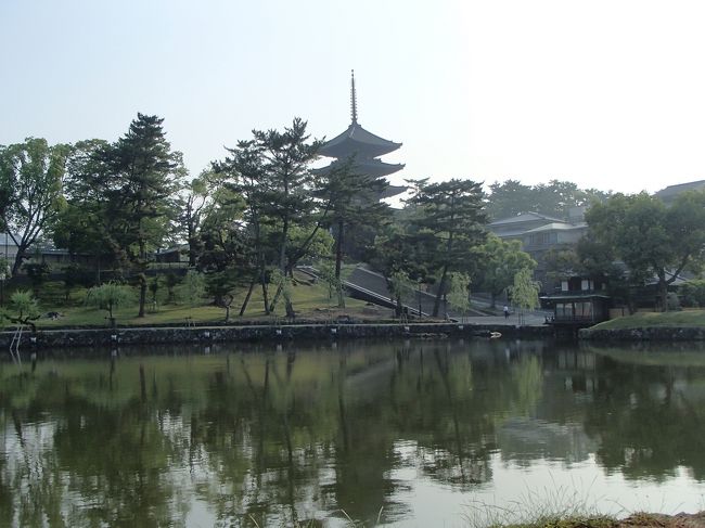 奈良に宿泊して奈良公園とその周辺を散策しました。<br /><br />5月30日は、ホテルに到着後、ライトアップされている興福寺五重塔と東大寺二月堂を訪れました。<br />5月31日は、早起きしてこみ合う前に、東大寺から春日大社を訪れ、お昼からは高畑や佐保に足を伸ばしました。
