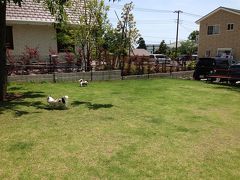 シャボテン公園＆カフェミルキーさん♪