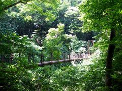 2014 5月　新緑の高尾山　リフトに乗って４号路吊り橋コースへ