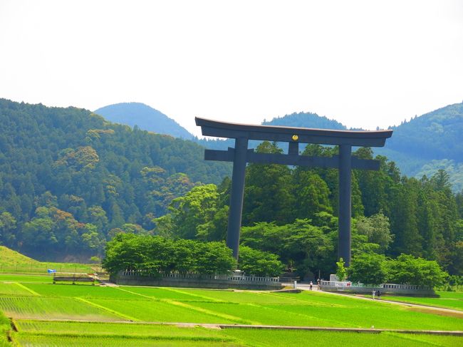 梅雨が近づき、陽気なお天気もそろそろ変わりはじめるのかなぁと思う今日このごろ。<br />お天気のときにどうしても、熊野古道を歩きたいというのとその近くの川湯温泉に入ってみたいという気持ちがたかまり、訪れました。<br />朝8時半に家を出発。<br />十津川村を抜け、熊野本宮に到着。<br />お参りをさせていただいてから熊野古道を30分ほど散策。木々やシダが青々と茂っていてとても静かな道。鳥のさえずりを聞きながら息をはずませの散策となりました。<br />夏はまだ来ていないといえどもとても暑く、汗がにじむほどでした。<br />そこから、川湯温泉へ。<br />川に温泉がわいているという川湯温泉。川辺には沢山の人が露天風呂を楽しんでおられました。<br />さっそく、そのなかへ入り、温泉を堪能しました。<br />本当にあったかいいいお湯がわいていて大自然と温泉を堪能できました。<br />この温泉で調子がのり、近くの湯の峰温泉にも足をのばしました。<br />つぼ湯に入りたかったのですが3時間待ちということでつぼ湯はあきらめ、源泉かけ流しの家族風呂をいただきました。510円で30分で本当のお湯を楽しめるのはとてもお手軽でよかったです。<br />最後に温泉たまごを食べて、おなかも少し満たされ帰宅したのでした。