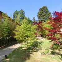 1歳子鉄と行く箱根・箱根翠松園編