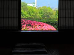 奈良　花寺めぐり～松尾寺、慈光院