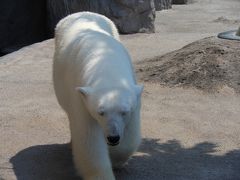 ２度目の北海道♪（２日目：旭山動物園）