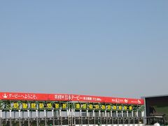 【日本ダービー 観戦記】　好天の東京競馬場に １３万人の ＬＯＶＥ，ＨＯＬＩＤＡＹ．