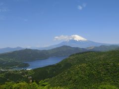 箱根ターンパイクでサルを見たのだ！【箱根ターンパイク　車窓の景色】大観山からの富士山の眺めも最高！