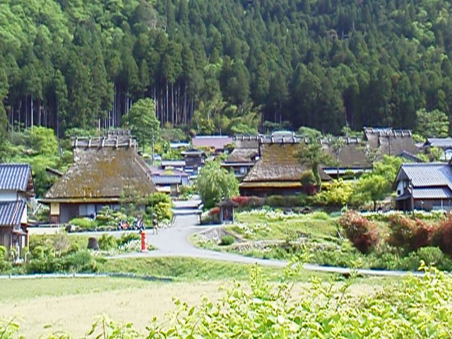 その昔、京の都から若狭の国・小浜城下へ伸びる要所・周山街道として往来の多かった道は国道１６２号線となり、高雄から笠峠・栗尾峠を超えて周山の町（現在は京北町）に至り～、更に深見峠・九鬼ヶ坂・堀越峠を超えて若狭の国小浜へ至る山深い途中、忘れられたように存在すのが美山・平屋地区の「萱葺きの里集落」。<br /><br />４０年以上も前に父に連れられて行ったときは全ての家々が萱葺きで何も無かった田舎の集落…、それも、細い砂利道を曲りくねって行ったとしかし覚えていない?…。<br /><br />今は当然ながら、国道も府道も整備された普通の道に成って、道の駅なども有って随分と判り易く行けるのは有難いことです。<br /><br />府道３８号線沿い由良川に沿って走ると「美山・萱葺きの里」と大きな表示が見えて来るので駐車場へ車を止めます（無料です）。<br />横には地元物産店も有るので休憩やお土産買いにはぴったりです。<br /><br />道路を挟んで「萱葺きの里」は向こうに見えるので、そのまま歩いて行けば迷わずに行けます。では、カメラ片手にぶらぶら歩き始めます。<br /><br />お天気も良い、ポカポカ陽気、「ザ・日本の原風景」です！！。<br /><br />意外と知られていないのですが、夏は蛍が飛び交い、清流由良川で水遊びや天然鮎が取れる日本の夏休み！、の思い出になる事間違いなし～。<br /><br />冬はしんしんと雪が積って白一色の世界になり、囲炉裏に心暖めて思いを語るひとときが、日本の冬休み！、の思い出になる事間違いなし～。<br />今は数軒の民宿が開業しているので気軽に体験利用が出来ます。<br /><br />＊写真掲載を増やしました　２０２０年０４月２９日