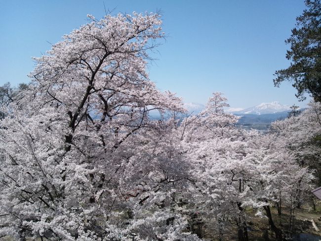 東山公園「大悲寺観音堂」からの眺めです。<br />中野市の桜の名所に行きました。