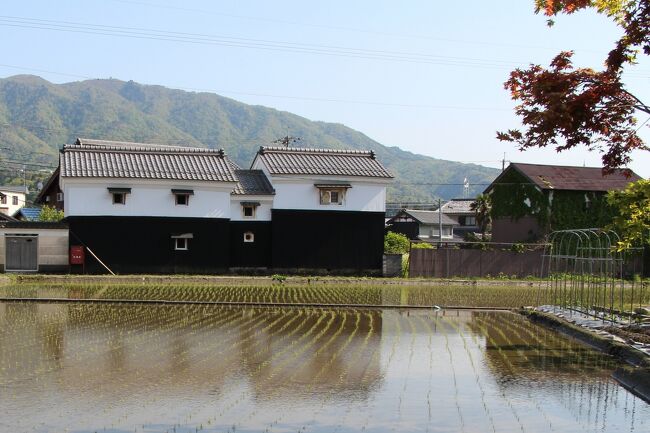 滋賀県高島市朽木市場は、鎌倉時代に朽木氏が入部して以来、時の流れとともに城下町としての形を整え、江戸幕府成立後も大名として存続した朽木氏が、近世に至るまで領主として支配した珍しい町だと云われています。<br /><br />陣屋が置かれ、商業の中心地だった城下町は、かつて若狭湾で獲れた鯖を京都へ運んだ、通称「鯖街道」と呼ばれる若狭街道沿いに位置していたことも相まって、次第に宿場町としての性格をも併せ持つこととなり、朽木宿の名が広く知られるようになります。<br /><br />町を歩くと、街道が直角に折れまがる、鍵曲（かいまがり）が所々残っており、この町が城下町だった時代の名残を見ることができます。<br /><br />また、宿場町に必ず見られる本陣などは残っていませんが、大きな町家や屋敷跡が散見できる町並みでは、主要な町家に紹介文を書いた看板が掲げられ、往時の姿を今に伝えています。<br /><br />せっかく鯖街道へ来たんですから、当然昼食は鯖でしょう・・・、と云うことで、美味しい鯖寿司を堪能した後、町歩きを始めます。