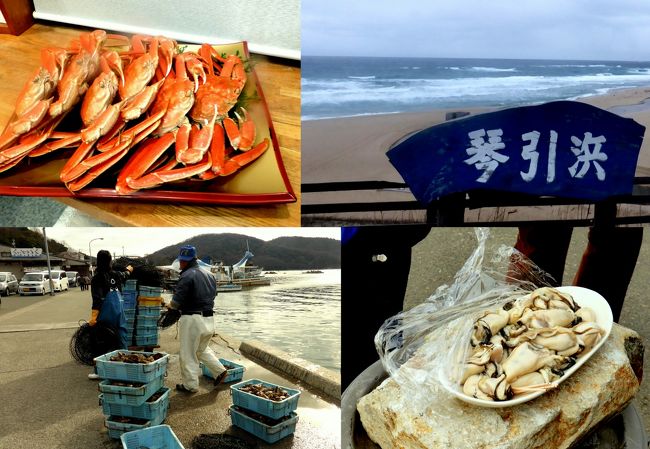 冬の家族旅行は非公式ながら毎年1月に行っていたが、今年は我々夫婦のタイ旅行を優先して呉れて、2月開催となった。<br /><br />それもあって、大阪在住の親戚たちは旅行期間を延長して毎年の瀬戸内海の牡蠣を賞味することに加えて、日本海の蟹も食べようと云う。<br /><br />そう云われたら、タイ旅行の疲れなぞどこ吹く風、何をさて置いてもでも行かずばなるまい。<br /><br />牡蠣の目的地は義弟達が毎年訪れると云う”赤穂”だったが、義弟達は東京からの我々夫婦を新幹線西明石駅で待ち受けて呉れ、赤穂の途中だからだと、高砂にある最近はやりのパワースポットで、日本三奇岩石があると云う生石（おうしこ）神社に立ち寄ってくれた。<br /><br />2日目の赤穂ではその場で生牡蠣をたらふく賞味。<br /><br />その後途中から雪景色の播但連絡有料道路をひたすら北上、日本海へ出て、山陰海岸国立公園の一角”竹野”で宿を取り、夜食は蟹三昧。<br /><br />3日目は丹後半島の海岸線を日本海を眺めながら辿り、経ケ埼を経て舟屋の里・伊根へ。<br /><br />帰阪の途上宮津の智恩寺に立ち寄る。<br /><br />翌日大阪は思わぬどか雪であった。<br /><br />家族旅行2014冬；今年のテーマは牡蠣と蟹　目次<br /><br />01日本三奇跡の宝殿・生石（おうしこ）神社<br />02赤穂の生牡蠣を堪能<br />03雪景色の播但連絡有料道路<br />04山陰山陰海岸国立公園の一角”竹野”で蟹三昧<br />05丹後半島その１”立岩”<br />06丹後半島その２”経ケ崎”<br />07舟屋の里・伊根遠望<br />08宮津の智恩寺<br />