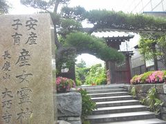 鎌倉・大巧寺（おんめさま）の紫陽花20140603