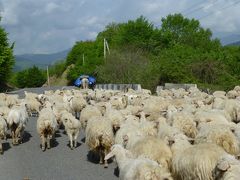 GWで行く世界一周旅行　すばらしき絶景のグルジア軍用道路を行く(コーカサス編)