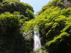 304 新緑の箕面と阪堺電車