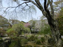 大和三庭園の一つ『竹林院群芳園』（奈良県吉野町）