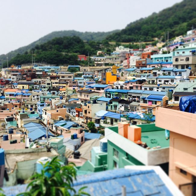 3日目は甘川文化村に行きました。元々朝鮮戦争で北朝鮮から逃れてきた人々が作った集落で、山の斜面にびっしりとカラフルな家々が立ち並んでいます。<br />今では村全体がアートとして新しい観光名所となり沢山の観光客が訪れていました。<br />地形と独特の色彩が、ここは韓国でなく別の国を想像させます。<br />また少し行ったところにある碑石マウルには昔釜山にあった日本人のお墓を、資材がなくてやはり朝鮮戦争の時に避難してきた人々が塀や、階段に利用してある場所が保存されています。