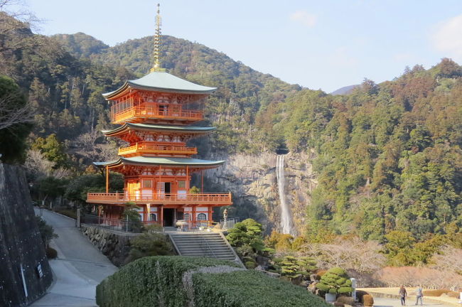 前日、三重県紀宝町で珍鳥ヤドリギツグミなどのバードウォッチングをした後、和歌山県の湯川温泉で一泊し、翌日は、那智の滝と伊勢神宮の観光を予定していました。ところが、静岡で珍鳥サバンナシトドが出ているとの情報を戴き、午前中の那智の滝観光だけで切り上げ、午後からは静岡に向かって移動しました。<br /><br />今回の旅行記は、午前中の観光の部「那智の滝・青岸渡寺・那智大社の観光」で、一泊した湯川温泉は、写真を撮り忘れたので省略します。<br /><br />表紙は、定番の「青岸渡寺の三重塔と那智大滝」です。