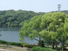 306 三分咲の菖蒲園・府営山田池公園