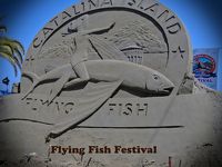 カタリナ島：　飛び魚祭　 Flying Fish Festival
