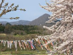 桜前線in長野