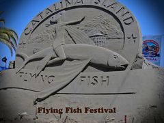 カタリナ島：　飛び魚祭　 Flying Fish Festival