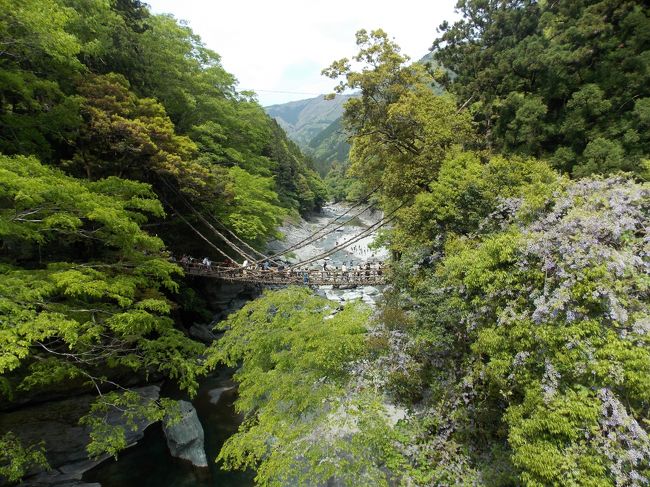 祖谷と書いていやと読みます<br />「イヤー知らんかった」と夫　しら〜<br /><br />大歩危・小歩危は大自然が作り出した見事な渓谷美です<br />２億年！ものときを経て出来た風景だとか<br /><br />その断崖絶壁に建てられた、信じられないくらい大きな物産館や宿へ行ってきました