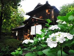 2013年6月 梅雨のおでかけ北多摩地区vol.2 小金井編★江戸東京たてもの園