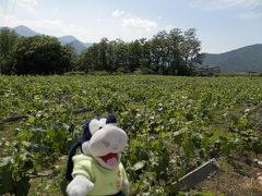 グーちゃん、戸倉上山田温泉へ行く！（しなの鉄道ニャンコ駅長の渇！編）