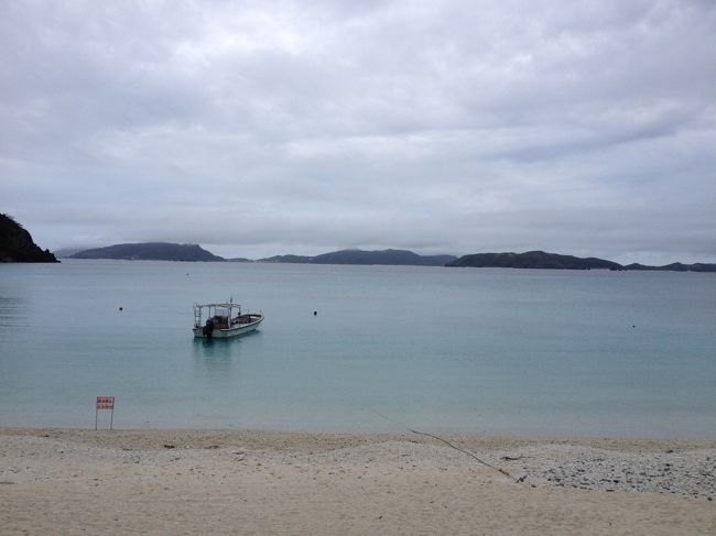 那覇からフェリーに乗って、渡嘉敷島へ。ウミガメが住み着いているという、とかしくビーチで、2泊3日、シュノーケリング三昧!<br />2日目、3日目と合計4匹のウミガメに出会いました。2匹大きいカメと一回り小さいカメは親子だったのか、一緒に行動していました。息継ぎに海面に出るのも一緒!笑!<br />ひとり旅だったので、ウミガメと一緒の写真がなくて残念です・・・