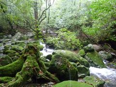 2014 Road to Yakushima 最終章① / 旅の概要＆白谷雲水峡１日目