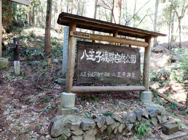 八王子城(はちおうじじょう)は16世紀に武蔵国(東京都八王子市元八王子町)にあった北条氏の本城・小田原城の支城で関東の西の軍事上の拠点だった。913年に華厳菩薩妙行が山頂で修行中に牛頭天王と8人の王子が現れた因縁で916年に山頂に八王子権現を祀ったことから八王子城と名付けられたとのこと。八王子城は標高445mの深沢山(現在の城山)に築城されている中世山城で城下町には武家屋敷のある中宿、刀剣鍛冶職人の居住区である鍛冶屋村、滝山城下から移転した商業地区の八日市・横山・八幡三宿があった。現在の「八王子城跡」としての範囲には太鼓曲輪尾根の南斜面を含む南部のエリアは含まれてず霊園、私有地も入り組んでおり住宅地でも遺構が見られる。北条氏康の三男・氏照が1571年頃より築城し1587年頃に本拠としており織田信長の築城した安土城を参考に石垣で固めたとのこと。1951年に国の史跡に指定され発掘調査や整備も進み御主殿跡付近の石垣、虎口、曳橋などが復元され2006年に日本100名城に選定され麓には2012年に完成した八王子城ガイダンス施設があり展示解説スペース、休憩・レクチャースペースがあり八王子城の歴史説明や八王子城の小模型がある。管理事務所では2009年よりボランティアによるガイドをしており「頂上」と書かれた小さな石碑の先にある階段を上ると八王子神社がある。八王子市も遺跡の保護にかなり力を入れているようだ。(写真は八王子城跡)