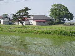 葬送と追憶の旅　～亡き父母たちが見た何気ない風景～