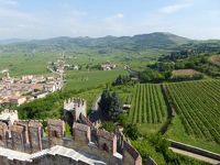 初夏の優雅な北イタリア旅行♪　Ｖｏｌ４７（第４日目午前）　☆ソアーヴェ（Soave)：憧れのスカラ城（Castello Scaligero)から見渡す絶景のブドウ畑♪