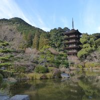 今年はどこに行こうかな・・・で、山口市に初詣でに行きました。そして、下関市で「ふぐ」を堪能・・・さすがに美味しかったですよ。