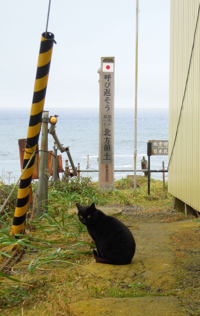 ３日目は阿寒湖→根室へ約２００キロの移動です。<br />この日はビュースポットが多く、<br />天気も何とかもってくれたのでいい写真が撮れました。<br />また、２月の訪れた納沙布岬にも再訪することができました。<br /><br />どうも僕は端っこ、というか岬が好きなんだと気付きました。<br />岬に立つと、そのずっと先には何があるんだろうと<br />思いを馳せています。