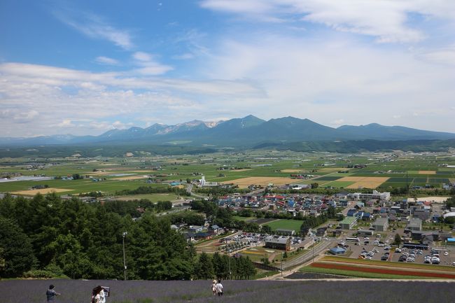 7月14日。朝8時過ぎにホテルを出て、まず、今日の宿となる「ワシントンホテル旭川」に荷物を預け、身軽になって出発。道もよく、快調。<br />1時間半ほどで美瑛に到着。道の駅「びえい『丘のくら』」でとりあえずソフトクリームを食べ、情報収集。「青い池」にぜひ行きたかったが、自転車では時間的に難しそう。いつかまた、きっとこよう。目標はラベンダーに絞り、いざ出発。<br />上富良野あたりで11:30になったので食事を考える。2日連続でそばだったので、ラーメンに。まあ、夜食は2日ラーメンだったわけだが。<br />検索では近くになぜか1件しかヒットしない。そんなはずもなさそうだが。ともあれ、コースから少し離れた「富良野ラーメン問屋」というお店で味噌ラーメンと餃子を食べる。<br />国道と平行して、農道が一直線に伸びていて、そちらを走ることにする。国道は日曜なので観光バスなどが多く、結構ストレスフルだ。<br />30分足らずでテレビなどでもよく見るファーム富田に到着した。自動車は駐車場待ちでとんでもない渋滞。とりあえず、自転車を置いて様子を見るが、中も当然すごい人の数なので、入園はいったん保留。ちょっと先にある中富良野町営ラベンダー園へと足を伸ばしてみた。人は少なく車も余裕で駐められる。<br />ここは冬場はスキー場のようで、リフトで上まで上れる。ラベンダーの香りに包まれ、富良野の平野を一望し、遠くには旭岳や十勝岳を望むその景色はまさに絶景。ここだけで十分来る価値はあった。<br />帰りは、美瑛から、パッチワークの路へ。よく見る風景だから別にいいかなとも思ったが、せっかくなので少し坂を上ってみる。<br />ここもまた、写真で見るのと実際に見るのでは大違いだった。言葉を失うというのはまさにこういうことだろう。ぜひ、自身の目で確かめてもらいたい。<br />旭川まで戻らなければならないため、後ろ髪を引かれる思いだったが、また走り出す。富良野国道と合流するところに「夢民村・直売カフェMuu」というお店があり、ちょっと立ち寄る。トマトがおいしそうだったので、買ってみる。<br />17時過ぎ、ホテルに着いた。<br />トマトを冷蔵庫に入れ、また居酒屋を探しに街へ。30分ほど歩き回り、「ふらりーと」という通りが面白そうだったので、その中の「ふくろう亭」というお店に入った。割烹風で、魚がおいしい。また、日本酒にもこだわっているようだ。<br />結構いい感じに酔って、ホテルへ。よく冷えたトマトを肴に缶酎ハイを飲んで寝る。いよいよ明日から未踏の北海道へ。<br />本日の走行距離は99.8キロ。<br />