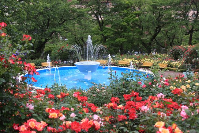 岩手 花巻温泉バラ園へ 花巻 岩手県 の旅行記 ブログ By Mintさん フォートラベル