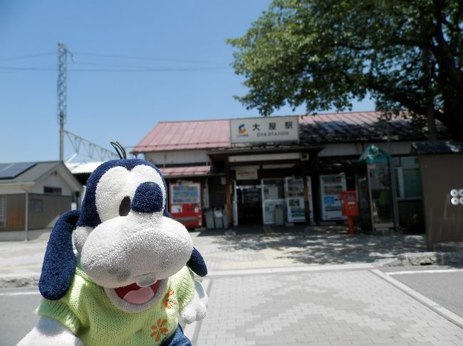 グーちゃんだよ。<br />鹿教湯温泉では「こくや旅館」さんにお世話になったよ。<br />アットホームなお宿でエコノミー。<br />とってもいい温泉に８回も入浴させていただき<br />大満足！！