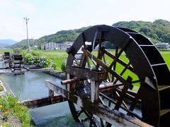 幻想的な四万十川ホタルと四万十大自然紀行