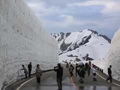 サンダーバートに乗って雷鳥探索の旅（冬と夏を体験する旅）6月6日