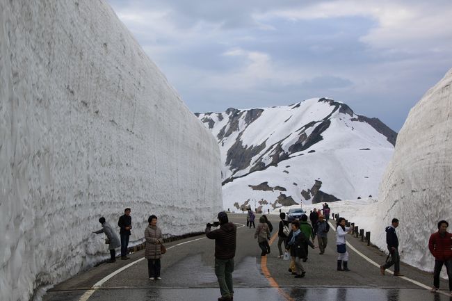 サンダーバートに乗って雷鳥探索の旅（冬と夏を体験する旅）6月6日