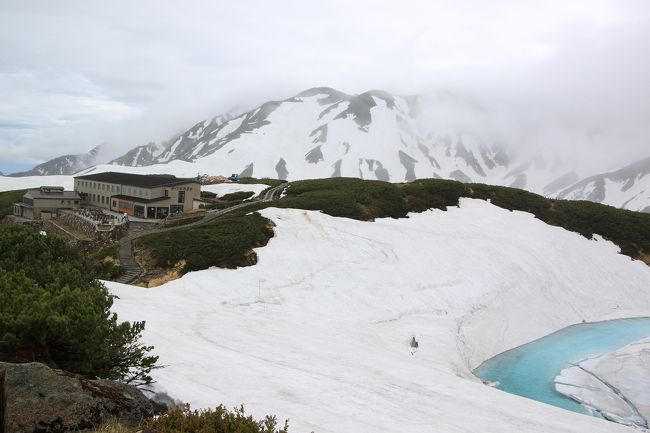 3年前のゴールデンウィークに大行列を並んで立山から室堂に5時間かけて行き、雪の大谷会場に到着した途端悪天候で中止になり、やむなく再度大行列に並んで必死の思いで富山市内に引き返したリベンジを込めて、再度出かけてきました。<br />今回は、ホテル立山に宿泊するクラブツーリズムのツアーに参加しましたので、みくりが池周辺を散策し、雷鳥をぜひとも見ようと大阪よりＪＲのサンダーバードで6月6日に出発。<br />翌7日は、室堂から立山黒部アルペンルートで扇沢に抜け、バスで金沢駅にもどり、再度サンダーバードに乗って帰るツアーです。<br />今回は室堂周辺での雷鳥探索とアルペンルートで扇沢に抜け、帰宅するまでをご紹介します。<br />正直言って今回は、天気が悪く最悪のツアーでした。