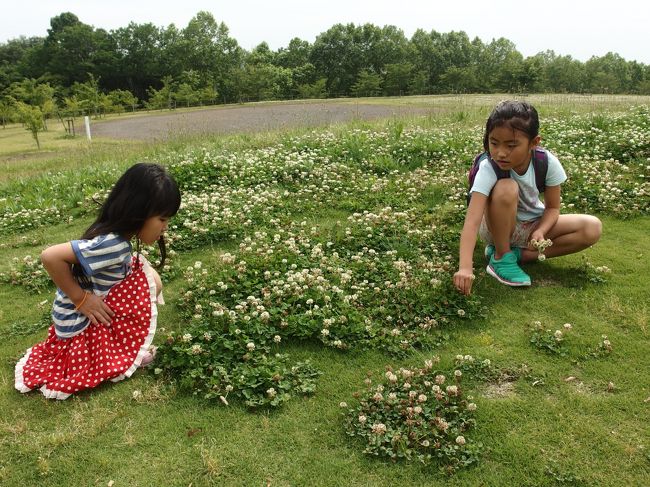 愛知万博の跡地　愛知県長久手市にある愛地球博記念公園（モリコロパーク）は、気軽に子供連れで遊べる施設です。<br /><br />今年も昨年同様、みうとにあ、かー君の従姉弟が思いっきり初夏の1日を遊んできました。<br /><br />去年のモリコロパークです。<br /><br />http://4travel.jp/travelogue/10783583