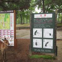 奈良：奈良公園周辺・西ノ京・斑鳩エリアを１泊2日