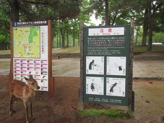 奈良：奈良公園周辺・西ノ京・斑鳩エリアを１泊2日