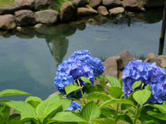 ２０１４　初夏　旧芝離宮恩賜公園　上