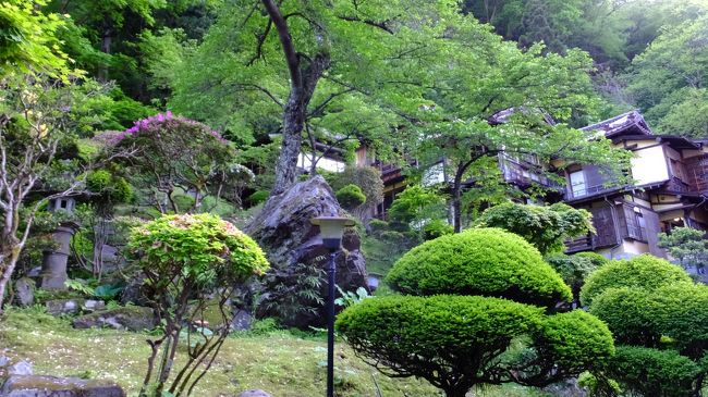 半年ぶりに帰国したので、妻と温泉旅行を計画しました。復興支援などと大げさな気持ちはありませんでしたが、どうせ行くならお湯に恵まれた福島へ出向くのが良いと意見が一致し県内の二か所の温泉をはしごしました。<br />二泊目の、この老舗旅館は、建物、内装すべてに会津藩から引き継がれた歴史が感じられます。行き届いたサービスはもとより、さっぱりしたかけ流しの浴場には、正統派への拘りを感じさせられました。良き日本の文化を海外の友人に紹介するのに持って来いだなと思っていたその矢先に米国からと思われる団体さんが到着。やはり、考えることは同じですね。<br />翌日は、鶴ヶ城に立ち寄って帰宅。すぐに高速に乗らず鬼怒川まで国道をたどったのですが、これがまた快適でぜひまた来ようとの思いを強くしました。
