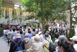 2014梅雨、庄内緑地公園の花菖蒲(1/10)：庄内緑地公園の花菖蒲祭り、バラ園、アジサイ