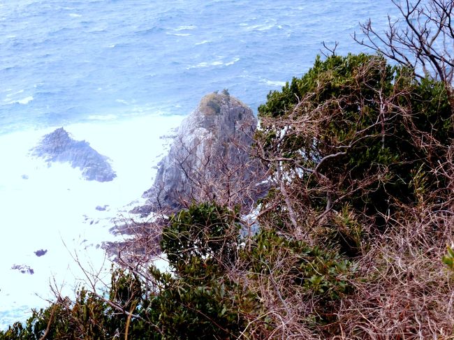 丹後半島の先端にある”経ケ崎”は、近畿日本の北端でもある。<br /><br />上からでは明瞭で無いが、岬の柱状玄武岩の岩盤が、衝立の様にも見えることからこの名が付いたらしい。<br /><br />今日の見渡す日本海の海は穏やかで、期待した波の花と呼ぶ、打ち寄せる白波には会えなかった。